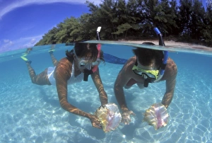 Snorkel Prints: Snorkeling in the blue waters of the Bahamas. (MR)