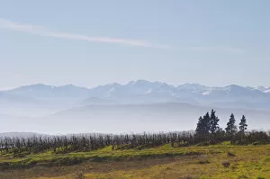 Snow capped Pyrenees mountains. Chateau Rives-Blanques. Limoux. Languedoc. Pyrenees