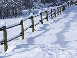 Peace Prints: Snow covered fence