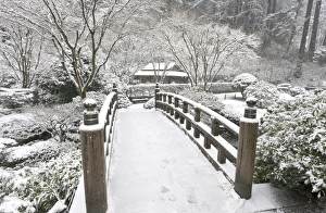 Images Dated 14th December 2008: Snow-covered moon bridge, Portland Japanese Garden, Oregon