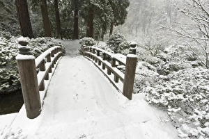 Oriental Prints: Snow-covered moon bridge, Portland Japanese Garden, Oregon
