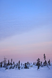 Images Dated 3rd July 2012: Snow-covered tundra, Wapusk National Park, Manitoba, Canada