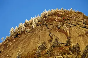 Snow and frost coat trees on Grandfather Mountain in North Carolina