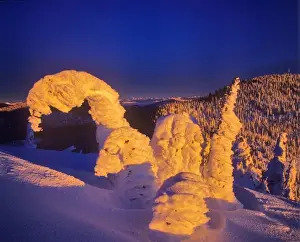 Snow ghosts at sunset on Big Mountain in the Whitefish Range in Whitefish, Montana, USA