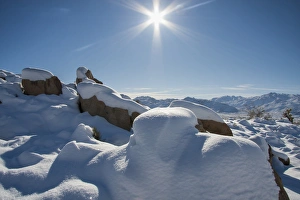Snow at Joshua Tree National Park, California