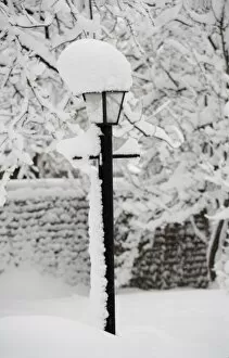 Snow on a lamp post