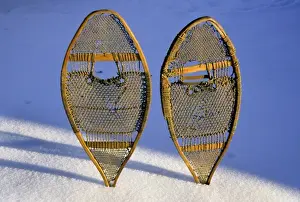 Great Plain Prints: Snow shoes were typically used by the Subarctic and Arctic peoples for walking on deep snow