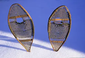 Sub Arctic Prints: Snow shoes were used by many tribes of the Sub-Arctic regions such as the Athabaskan