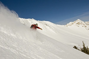 Wasatch Prints: Snowboarder enjoys the powder in Cardiff Fork
