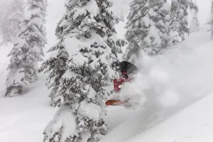 Whitefish Prints: Snowboarding in powder at Whitefish Mountain Resort, Montana, USA MR