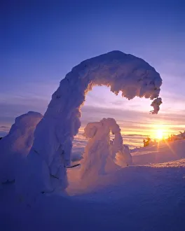 Beautiful Prints: Snowghosts in the Whitefish Range of Montana