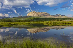 Beaver Pond Prints: Sofa Mountain reflecting into beaver pond in Waterton Lakes National Park, Alberta
