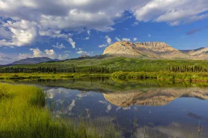 Beaver Pond Prints: Sofa Mountain reflects into beaver pond in Waterton Lakes National Park, Alberta, Canada
