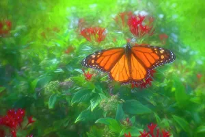 Painterly Prints: Soft and diffuse fine art picture of a butterfly alight on some flowers