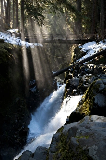 Sun Ray Prints: Sol Duc Falls, Olympic National Park, Washington, USA