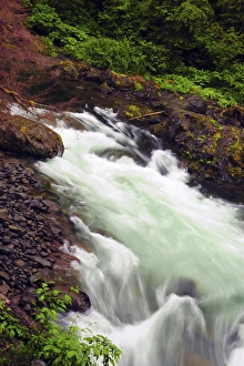 Images Dated 14th July 2011: Sol Duc Falls, Olympic National Park, Washington, USA