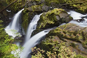 Sol Duc Falls; Olympic National Park