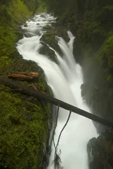 Images Dated 24th May 2006: Sol Duc Falls, Olympic National Park, Washington, US
