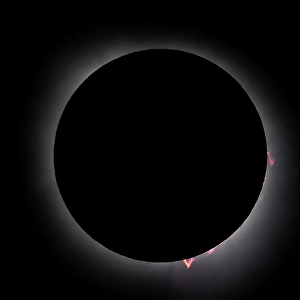 Prints of Solar eclipse flares Images Dated 2024 October: Solar eclipse flares