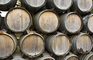 Images Dated 2029: Sonoma Valley California Kunde Winery barrels of wine winery vineyards abstract Napa