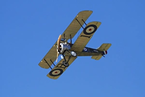 Plane Prints: Sopwith Camel - WWI Fighter Plane