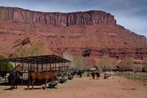 Images Dated 4th April 2011: Sorrel River Ranch, Moab, Utah, US