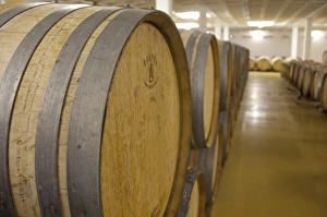 Images Dated 8th May 2010: South Africa, Cape Town. Stellenbosch wine area, Zevenwacht Winery. Typical oak wine