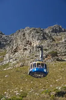 Images Dated 12th December 2010: South Africa, Cape Town, Table Mountain National Park
