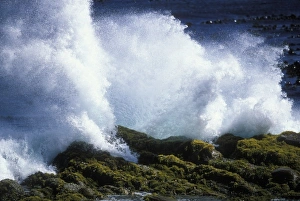 South Africa, Table Mountain National Park, Atlantic Ocean waves crashing into rocks