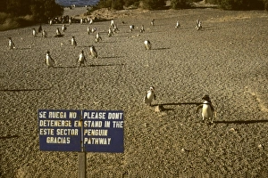 South America, Argentina