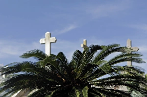 South America, Argentina, Buenos Aires. Crosses and palm at La Recoleta Cemetary