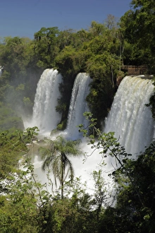 Iguazu River Prints: South America, Argentina, Iguacu Falls in sun