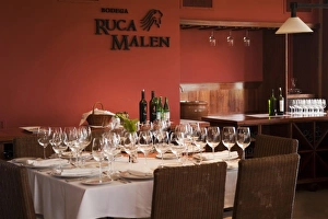 Images Dated 10th March 2009: South America, Argentina, Mendoza. Inside restaurant at Ruca Malen Winery