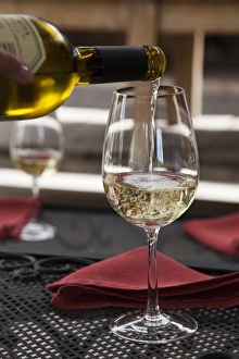 Mendoza Prints: South America, Argentina, Mendoza. Pouring white wine into glass at Altus Vineyards