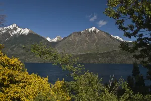 Images Dated 28th November 2006: South America; Argentina; Patagonia. View of Andes Mountains and Lake Gutierrez