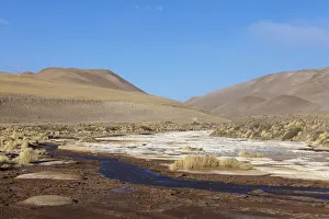Jutta Riegel Prints: South America, Argentina, Province Salta. Typical landscape of the Puna