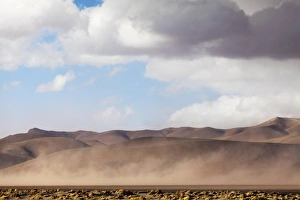 Images Dated 6th June 2011: South America, Argentina, Province Salta. Sandstorm in typical landscape of the Puna