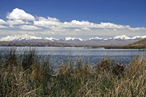 Images Dated 21st October 2011: South America, Bolivia, Lake Titicaca. View from Uros floating reed islands of Lake