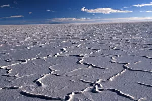 Images Dated 24th March 2005: South America, Bolivia. Salar de Uyuni