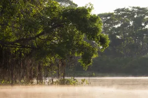 Images Dated 3rd September 2015: South America, Brazil, Mato Grosso, The Pantanal, Rio Cuiaba