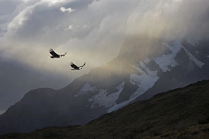 South America, Chile