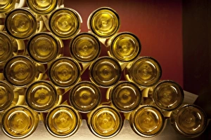 Images Dated 14th March 2009: South America, Chile, Casablanca Valley. Wine bottle bottoms at Casas del Bosque Winery