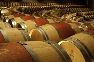 Images Dated 11th June 2009: South America, Chile, Colchagua. Wine barrels in the cellar of Montes Winery. Credit as