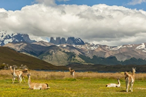 Images Dated 30th January 2015: South America, Chile, Patagonia, Torres del Paine National Park. Landscape of mountains
