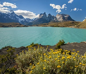 Images Dated 30th January 2015: South America, Chile, Patagonia