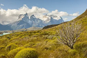 Stark Prints: South America, Chile, Patagonia. Lake Pehoe and The Horns mountains
