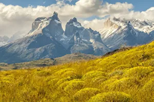 Images Dated 4th January 2017: South America, Chile, Patagonia. The Horns mountains