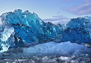South America, Chile, San Rafael Lagoon NP. Icebergs congregate in the San Rafael Lagoon NP