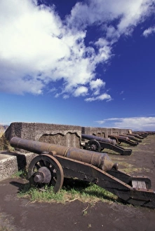 Artillery Prints: South America, Chile, Valdivia, Lake District. Fuerte Niebla, cannons