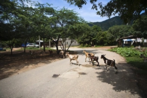 Pack Prints: South America, Colombia